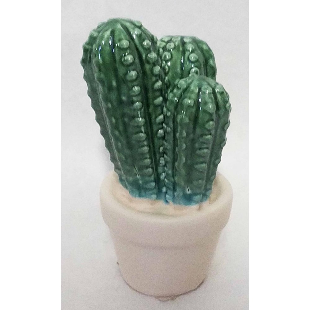 CACTUS CERAMICA 